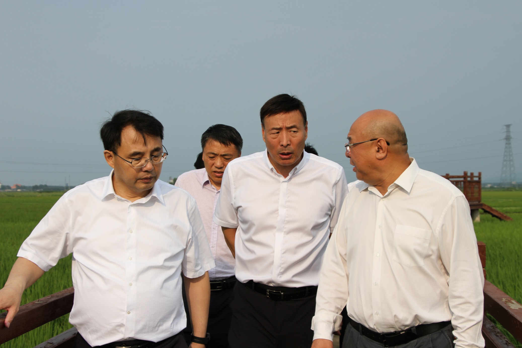 IMG_1278 - ����.JPG