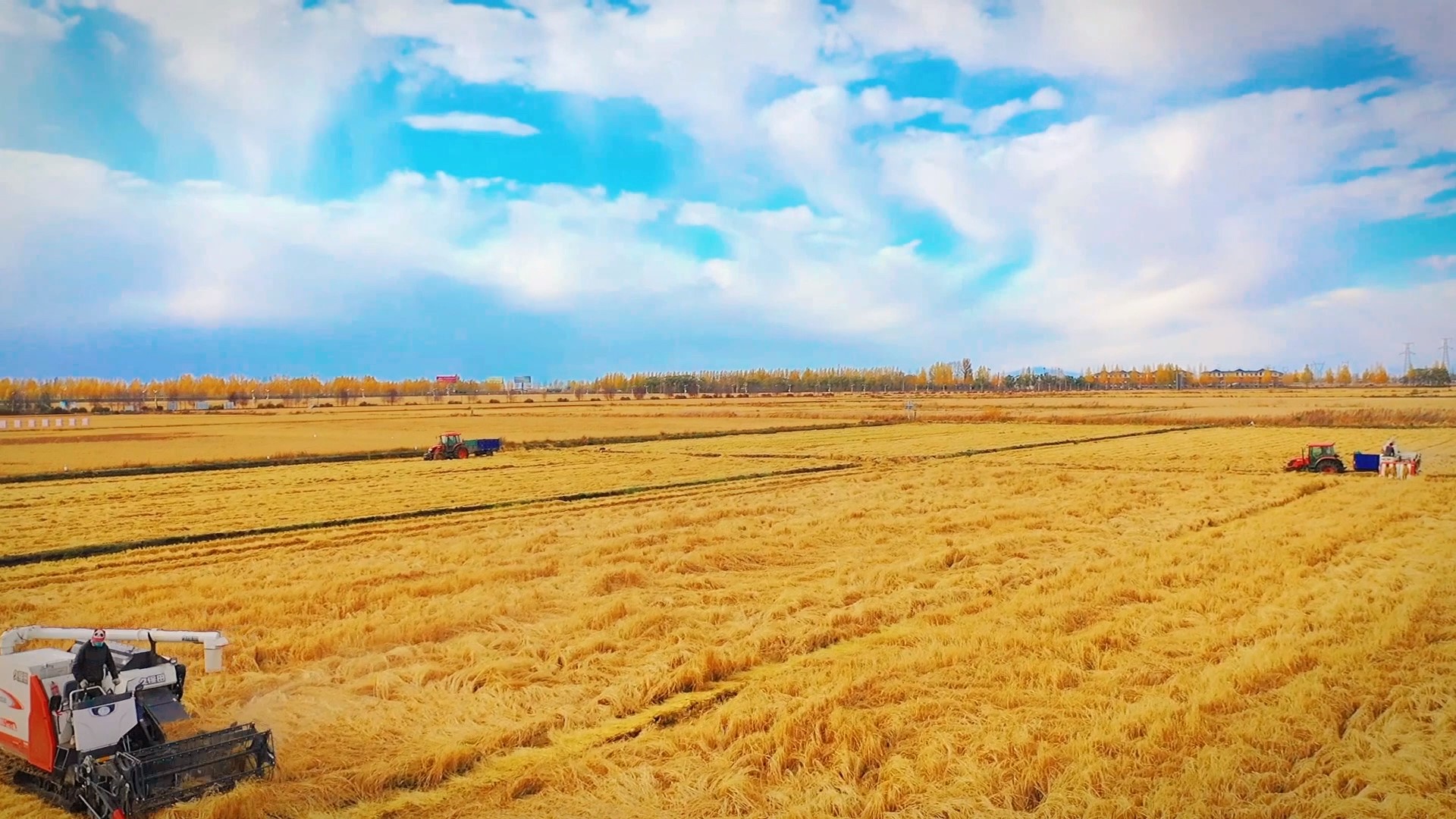 �����ṩ - frame at 0m10s.jpg