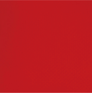 S3236 